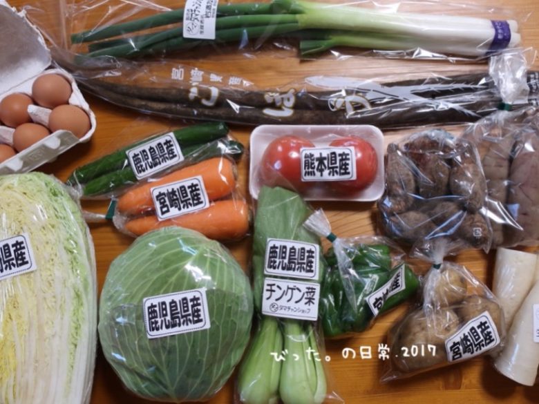 九州産直の野菜セット